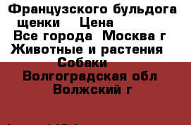 Французского бульдога щенки  › Цена ­ 35 000 - Все города, Москва г. Животные и растения » Собаки   . Волгоградская обл.,Волжский г.